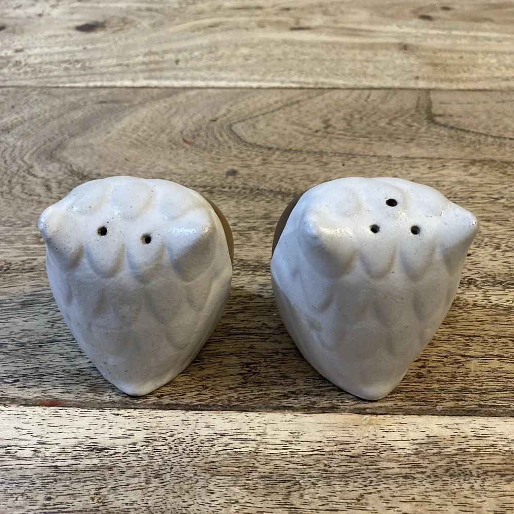 Rare Vintage Owl Salt and Pepper Shakers Set